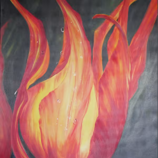 Feuertulpe