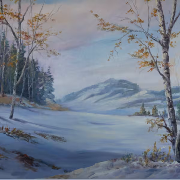 Birken im Schnee