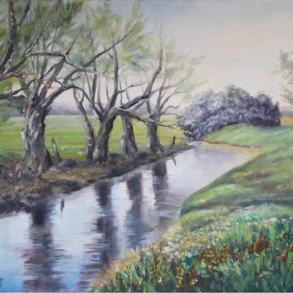 Kopfweiden am Fluss