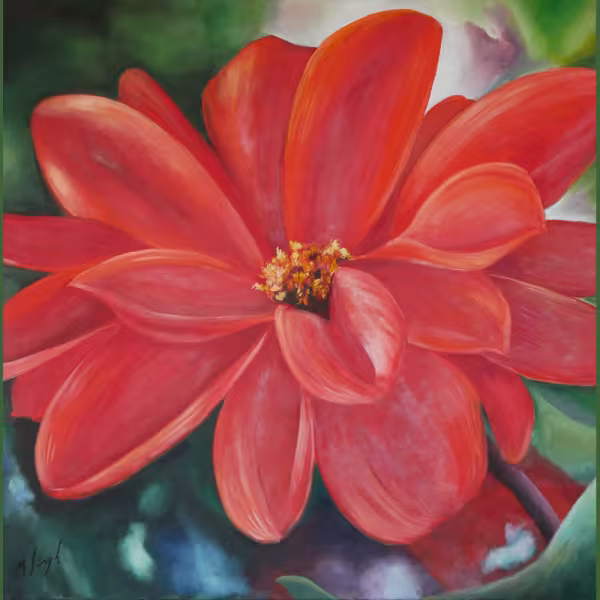 Rote Dahlienblüte