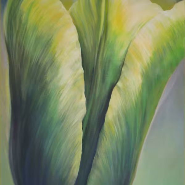 Gelbgrüne Tulpe