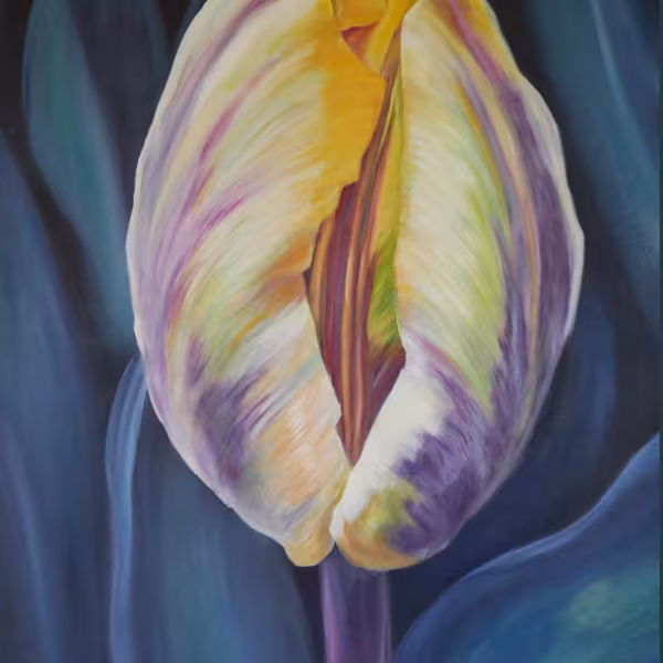 Tulpe mit violettem Stängel