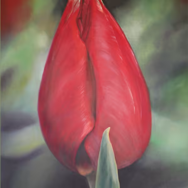Rote Tulpe mit einem Blatt