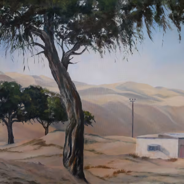 Am Rande der Wüste (in Dubai, Baum im Vordergrund)