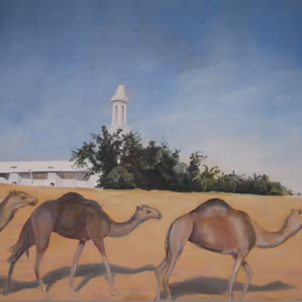 Kamele in der Wüste (in Dubai mit kleiner weißer Moschee)