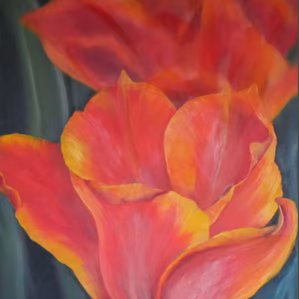 Orange-rot-gelbe Tulpenblüten