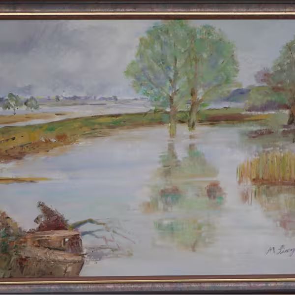 Moorlandschaft